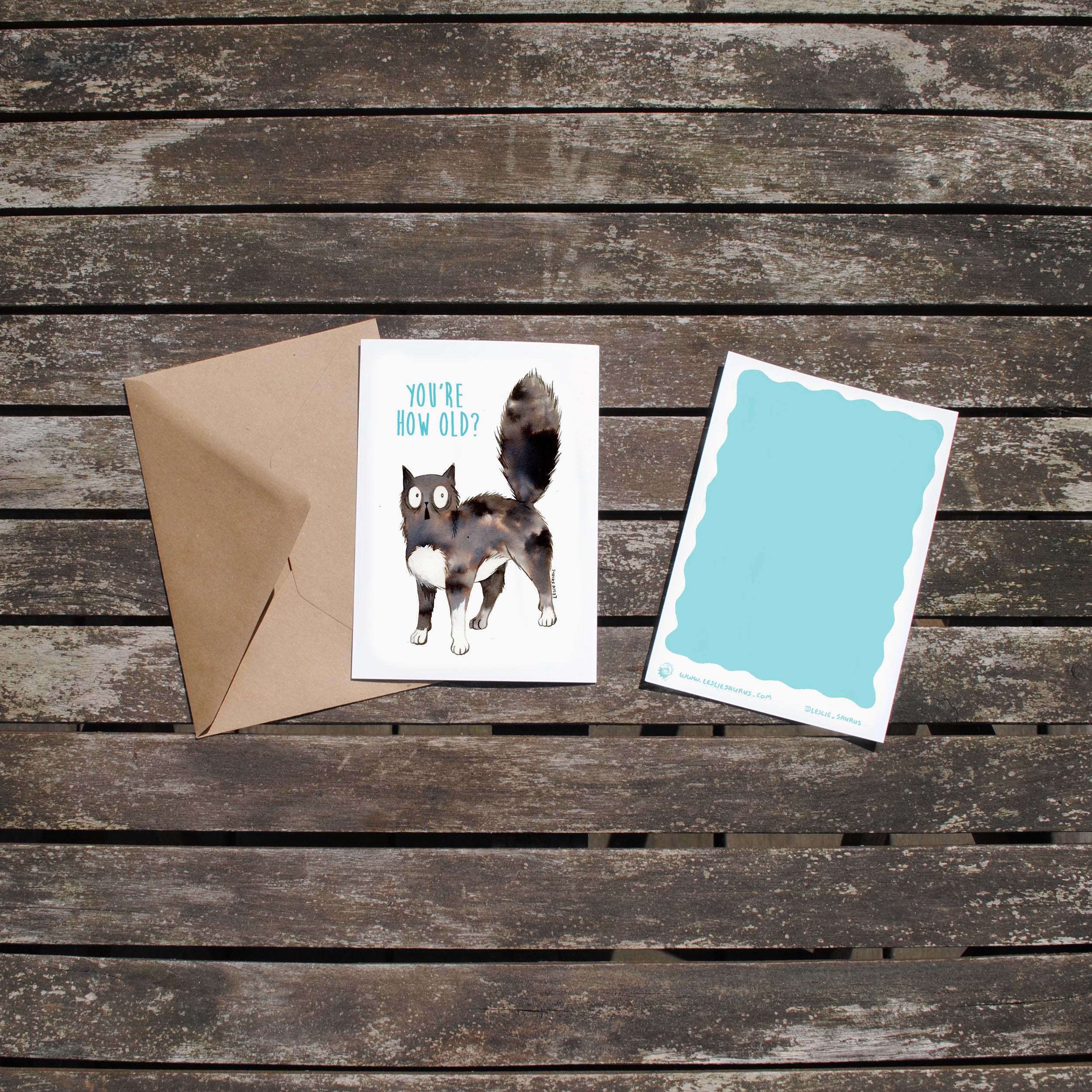 Wenskaart kat - How old?