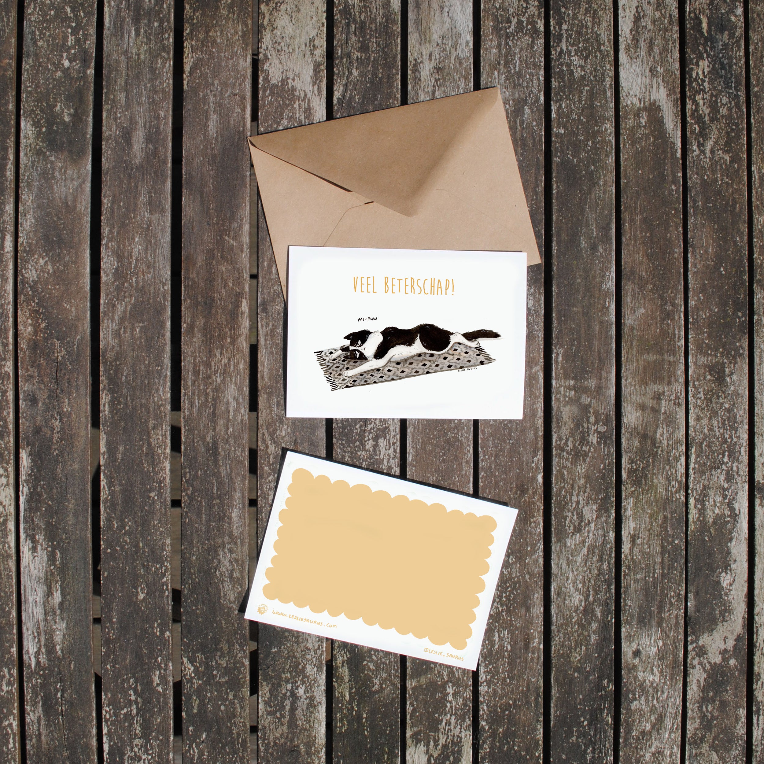 Wenskaart kat - Beterschap